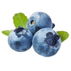BLUEBERRY EXTRACT %25 PROANTHOCYANIDINS - 1