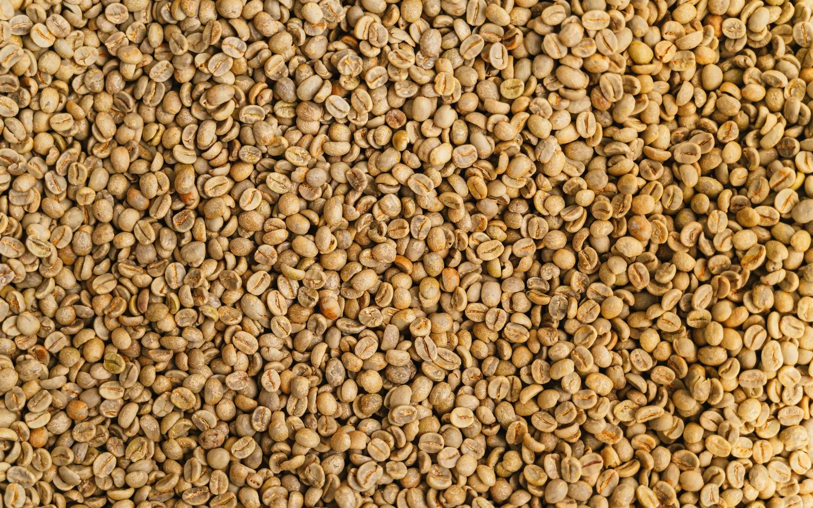 What is Green Coffee Extract 10:1? Benefits, Usage, and Dosage in Dietary Supplements
