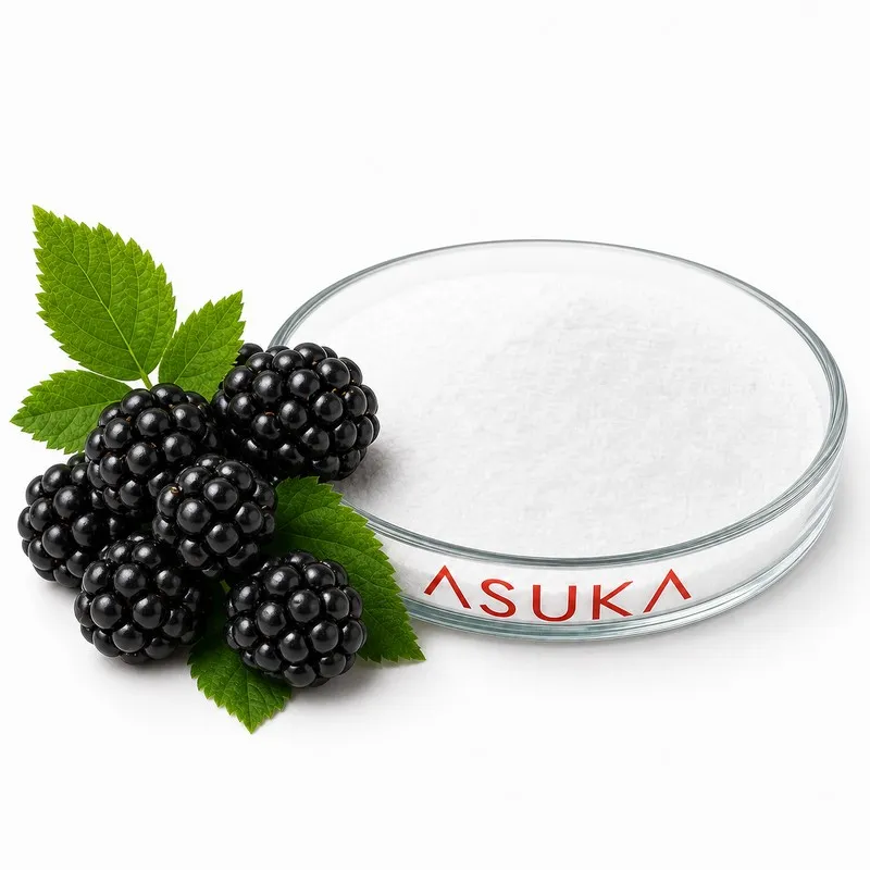 Böğürtlen Aroması Toz