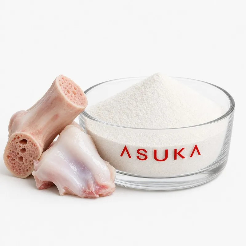 Type II Collagen